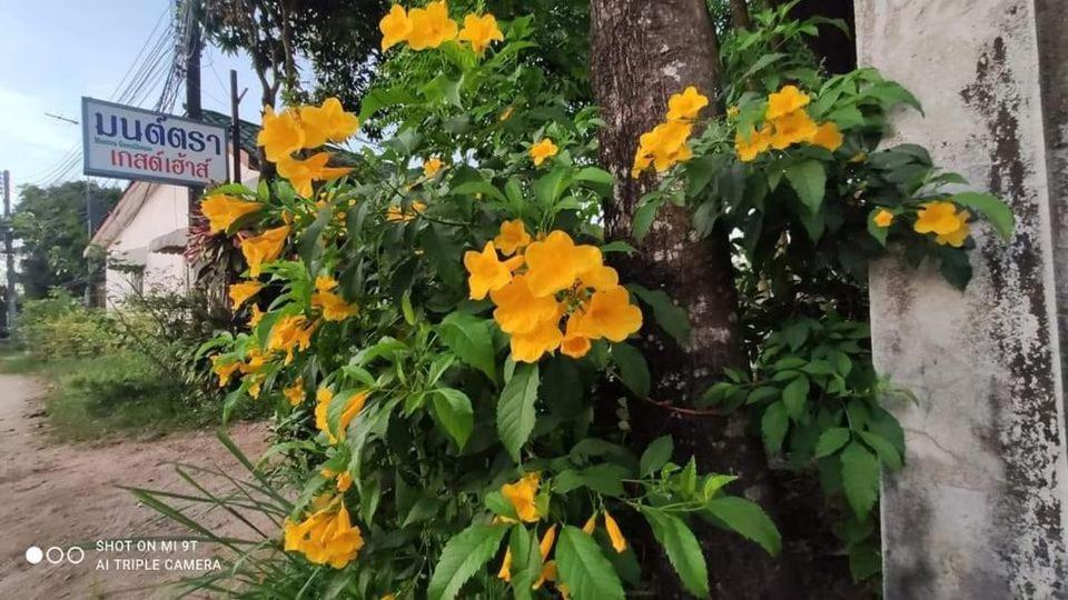 Montra Guesthouse Ranong Bagian luar foto
